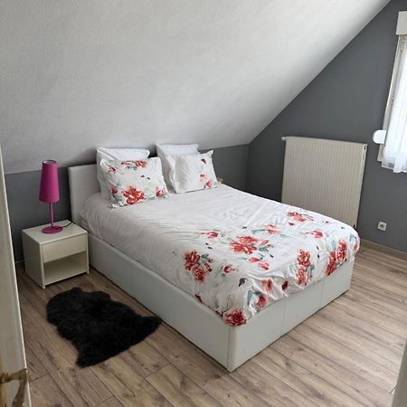 Appartement Au Petit Logelbach à Wintzenheim Extérieur photo