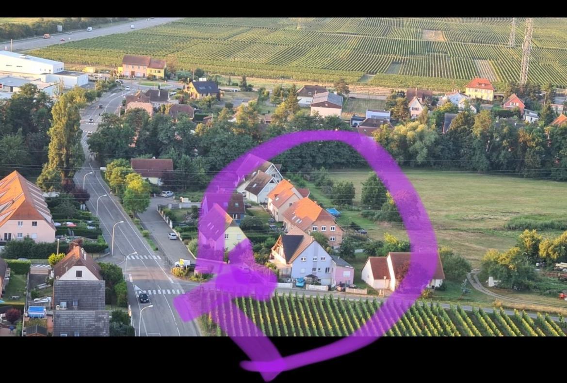 Appartement Au Petit Logelbach à Wintzenheim Extérieur photo